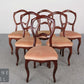 Set aus 6 elegante Rokoko Stil Polsterstühle Mahagoni Esszimmerstühle Vintage