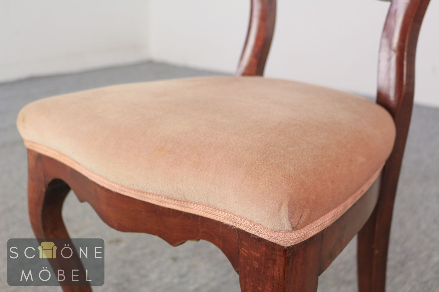 Set aus 6 elegante Rokoko Stil Polsterstühle Mahagoni Esszimmerstühle Vintage