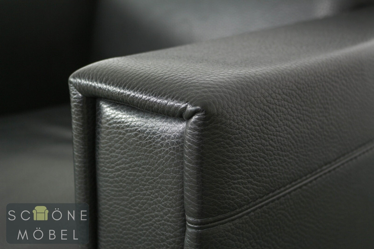 Rivolta Forrest Designer Ledersessel Echtleder Sessel Leder Armchair Made Italy